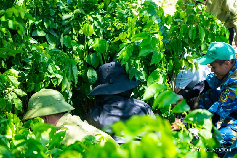 Gợi ý quà tặng doanh nghiệp là một chuyến đi trồng rừng