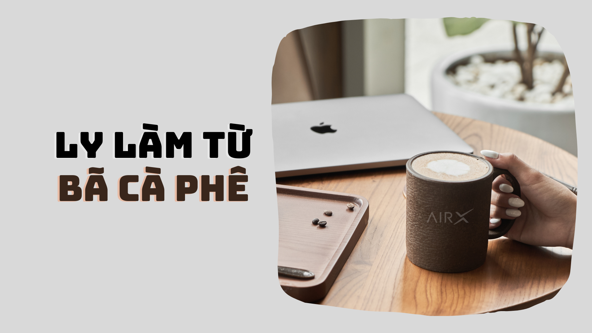 Ly Làm Từ Bã Cà Phê - Bước Ngoặt Mới Của Tái Chế