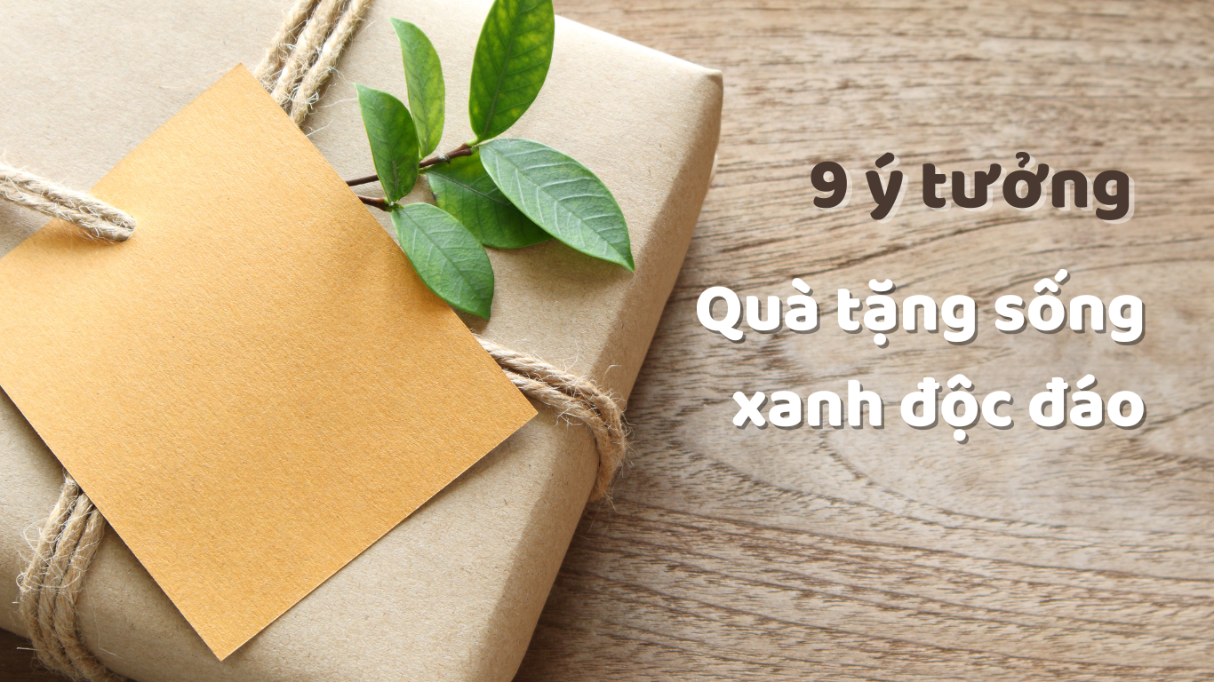 9 Ý TƯỞNG QUÀ TẶNG SỐNG XANH ĐỘC ĐÁO