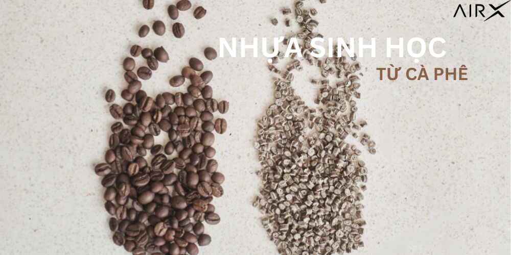 Công Ty Sản Xuất Nhựa Sinh học Tại Việt Nam