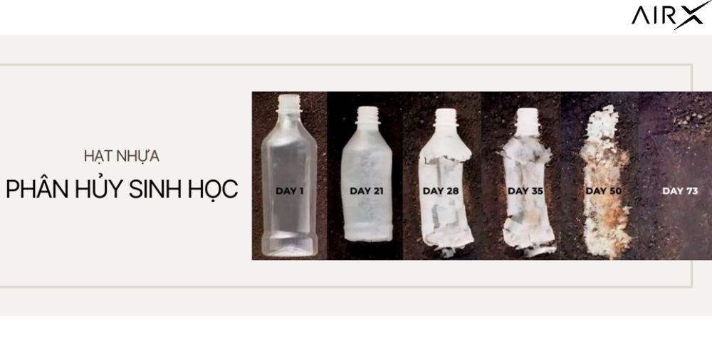 Hạt Nhựa Phân Hủy Sinh Học Mang Đến Sự Khác Biệt Gì?