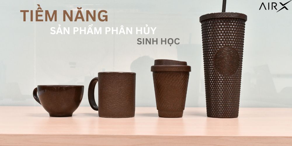 Khám Phá Tiềm Năng Của Sản Phẩm Phân Hủy Sinh Học