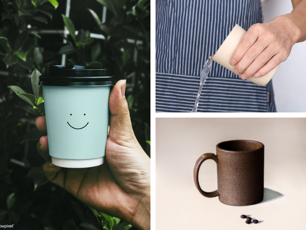 Một số cốc phân hủy sinh học trên thị trường