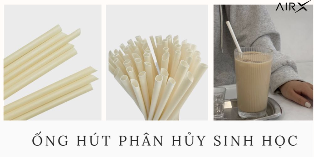 Ống Hút Phân Hủy Sinh Học Cà Phê