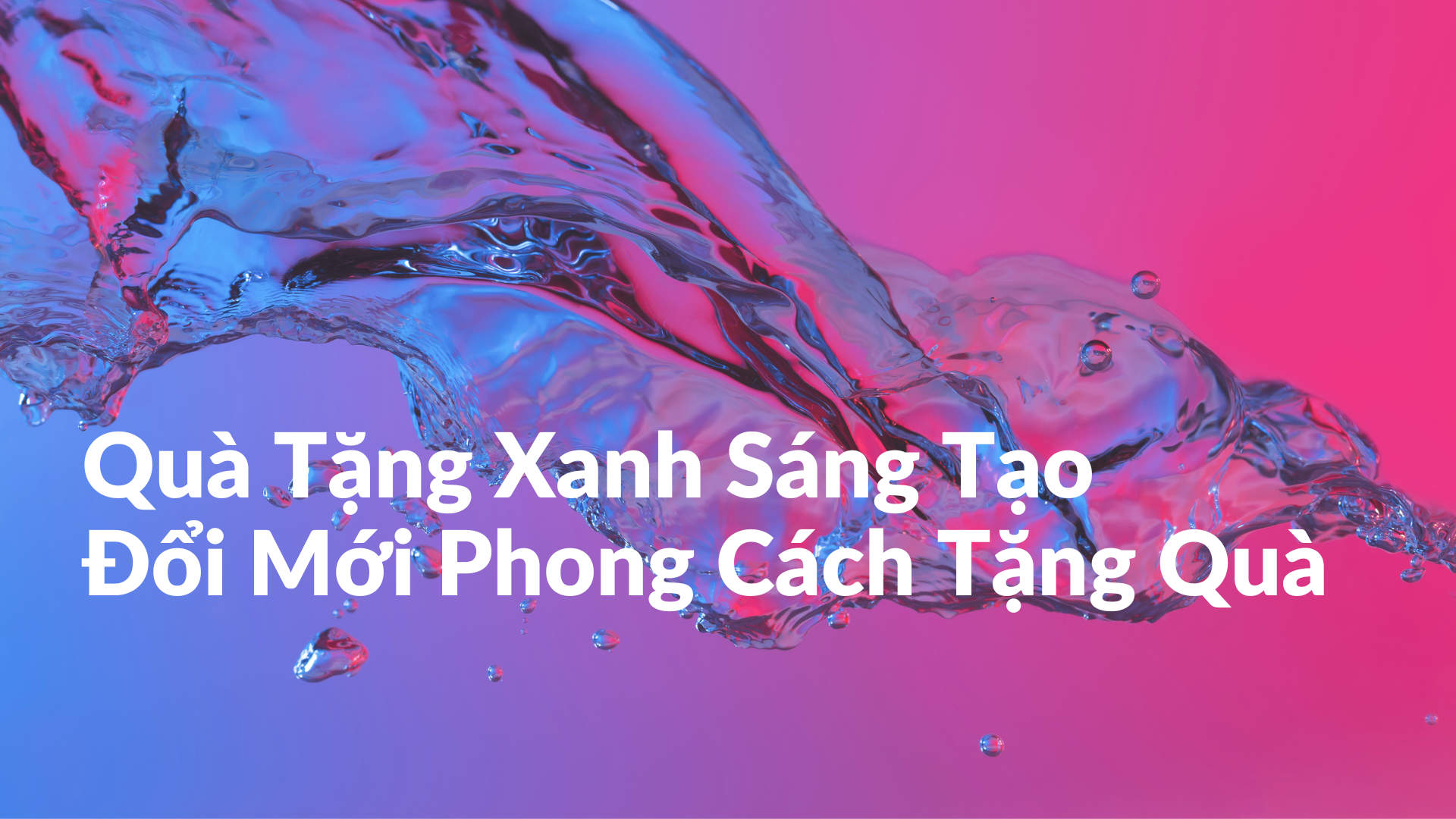 Quà Tặng Xanh Sáng Tạo - Đổi Mới Phong Cách Tặng Quà