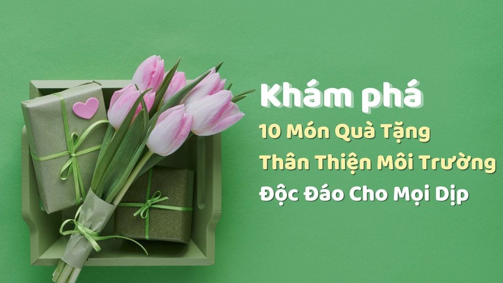 Khám Phá 10 Món Quà Tặng Thân Thiện Môi Trường Độc Đáo Cho Mọi Dịp