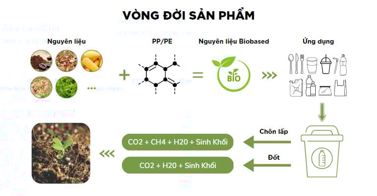 Vòng đời của bã cà phê